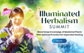Announcing the Illuminated Herbalism Training Summit 2023
