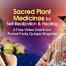 Connect With Reverence & Ceremony to the Spirit Wisdom of Plant Medicine for Self-Realization, Integration & Healing: with Puma Fredy Quispe Singona