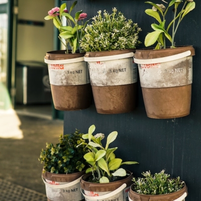 Gardening is a beautifully immersive grounding practice