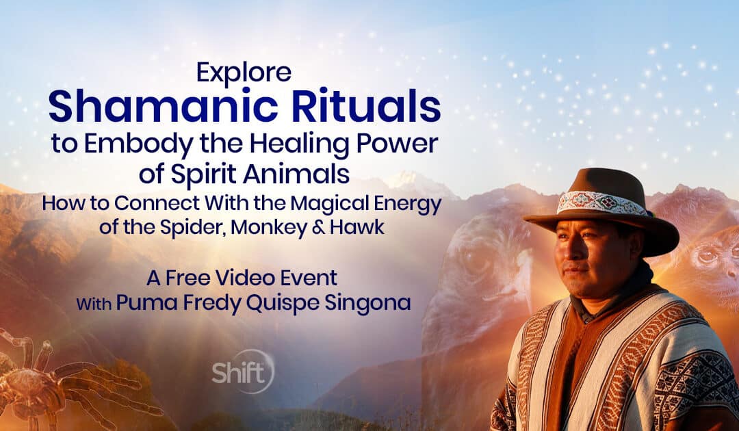  Embody the Healing Power of Spirit Animals: How to Connect With the Magical Animal Medicine of the Spider, Monkey & Hawk with Puma Fredy Quispe Singona