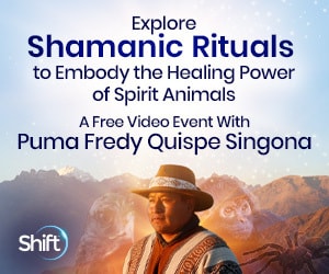 Discover how to call on powerful spirit animals to embody their potent energies for transforming your life and our world- Discover spider medicine and hawk medicine