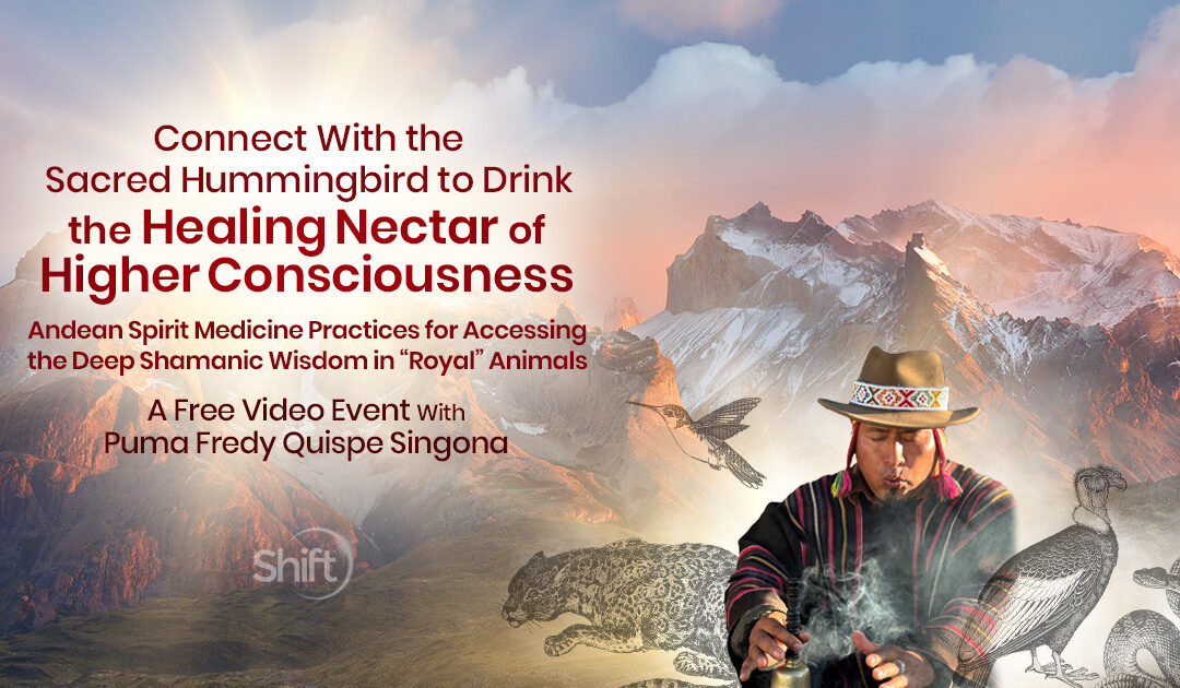 Connect With the Sacred Spirit Animal of the Hummingbird to Drink the Healing Nectar of Higher Consciousness: Andean Spirit Medicine Practices for Accessing the Deep Shamanic Wisdom in “Royal” Animals with Puma Fredy Quispe Singona
