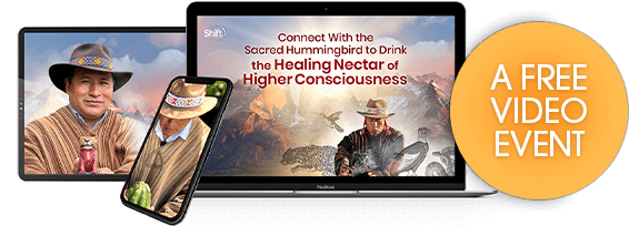 Embody the sacred hummingbird’s energy to evolve your consciousness