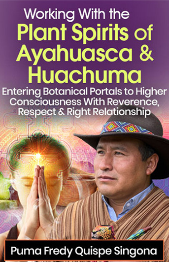 Connect with reverence & ceremony to the spirit wisdom of plant medicine with Andean Shaman Puma Fredy Quispe Singona