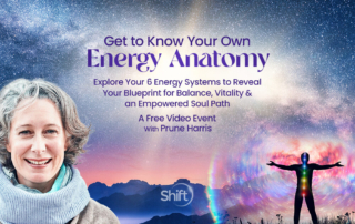 Get to Know Your Energy Anatomy: 6 Systems Reveal a Blueprint for Balance