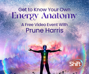 Energy anatomy training for greater health, harmony & vitality