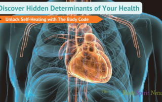 What is The Body Code by Dr. Bradley Nelson