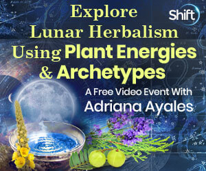 Explore the deeper story of the correlation between plants and planets- herbalist training with Adriana Ayales