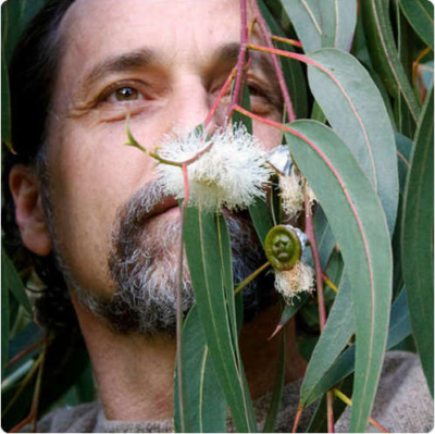 Healing with Trees Medicine Online Course with Floricopea's Founder David Crow