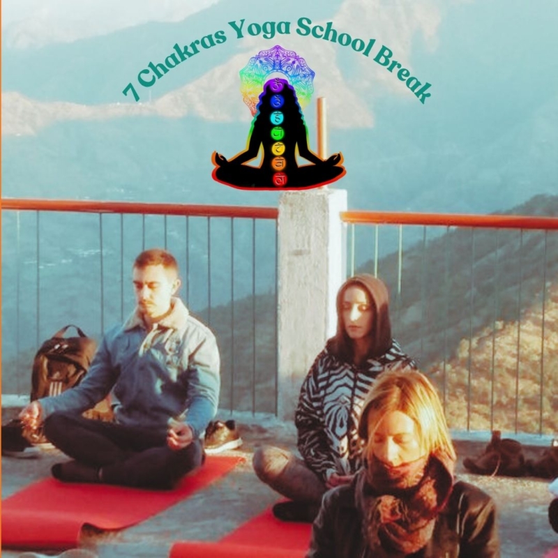 Discover 7 Chakras Yoga School Teacher Training Destinations Rishikesh India
