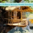 Detox Wellness Retreat Destinations Worth Traveling For