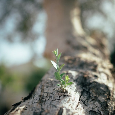 Transforming Pain into Growth and Wisdom
