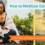 How to Meditate Daily Micro-Habits and Meditation Techniques for a Busy Mind