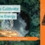 How to Cultivate Feminine Energy When All You've Known is Hard Work
